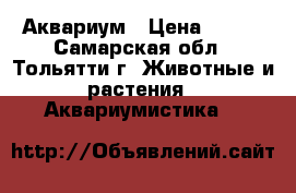 Аквариум › Цена ­ 500 - Самарская обл., Тольятти г. Животные и растения » Аквариумистика   